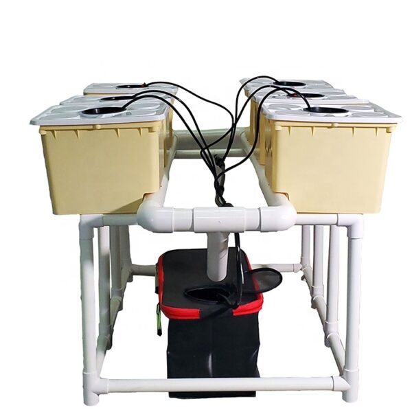 Indoor Hydroponic Dutch Bucket Growing System – Tomato & Vegetable Greenhouse Kit