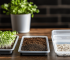 EGS Post_Indoor Gardens